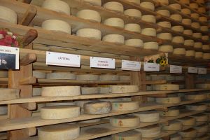 Aziende Agricola